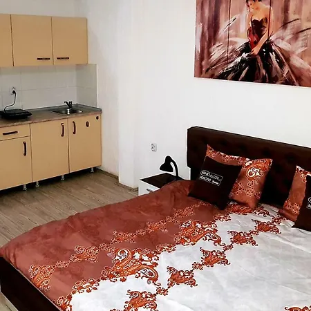 Vik Апартаменты *